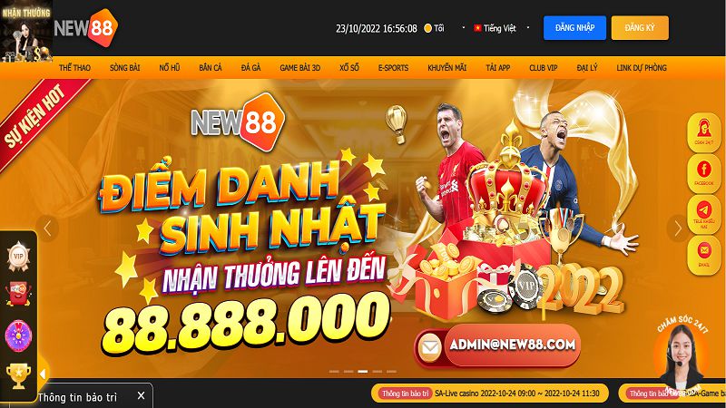 Cổng New88 truy cập trực tuyến cho thị trường tại Việt Nam